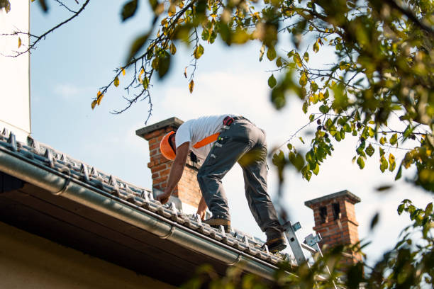 Best Roofing Contractors for Homes  in Harbor Beach, MI