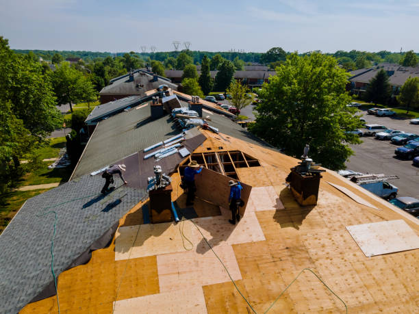 Best Flat Roof Repair Services  in Harbor Beach, MI