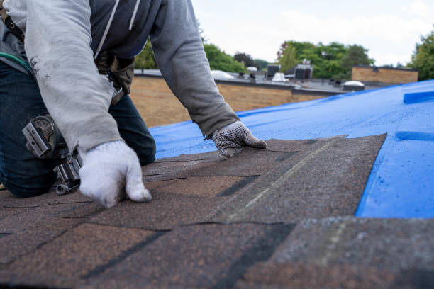 Quick and Trustworthy Emergency Roof Repair Services in Harbor Beach, MI