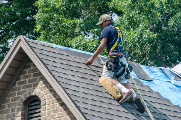 Best Roof Replacement Cost  in Harbor Beach, MI