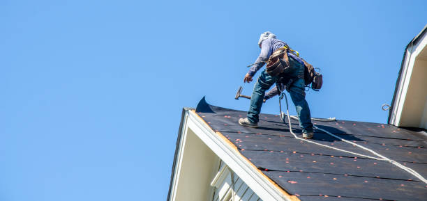 Best Roof Gutter Cleaning  in Harbor Beach, MI
